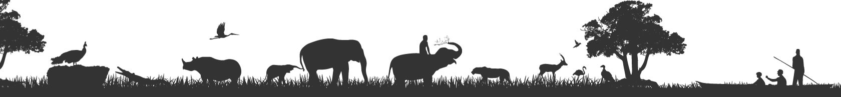 Footer Image